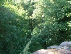 Burg_Rabenstein_Fläming_07.jpg